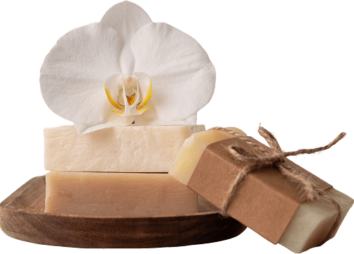 Orchid with three natural soap bars.